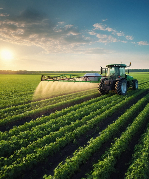 tractor spraying field of crops at dawn. Pace services for agriculture industry.