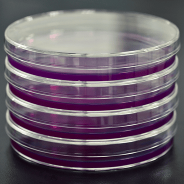 agar